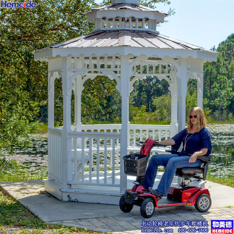 golden_technologies_companion_gc440_top_mobility_104.jpg