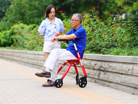 新西兰 NIP老人助行器四轮老年手推车拐杖凳辅助行走助步轻便折叠