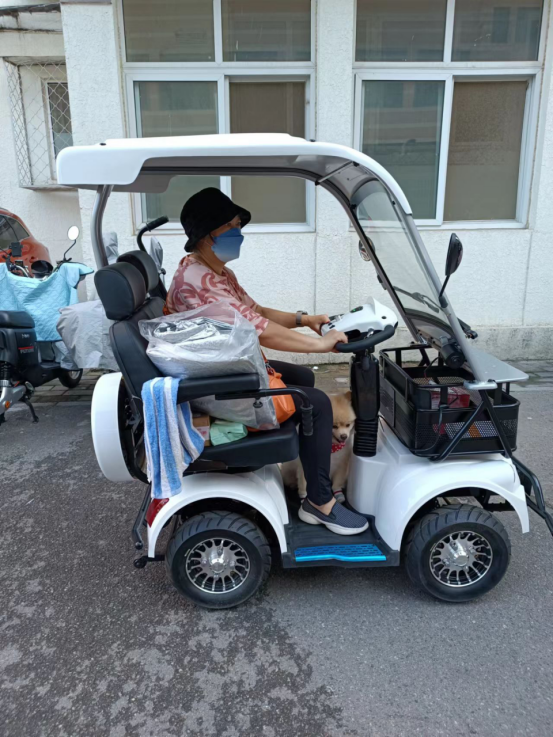 和美德小巴士双人电动代步车